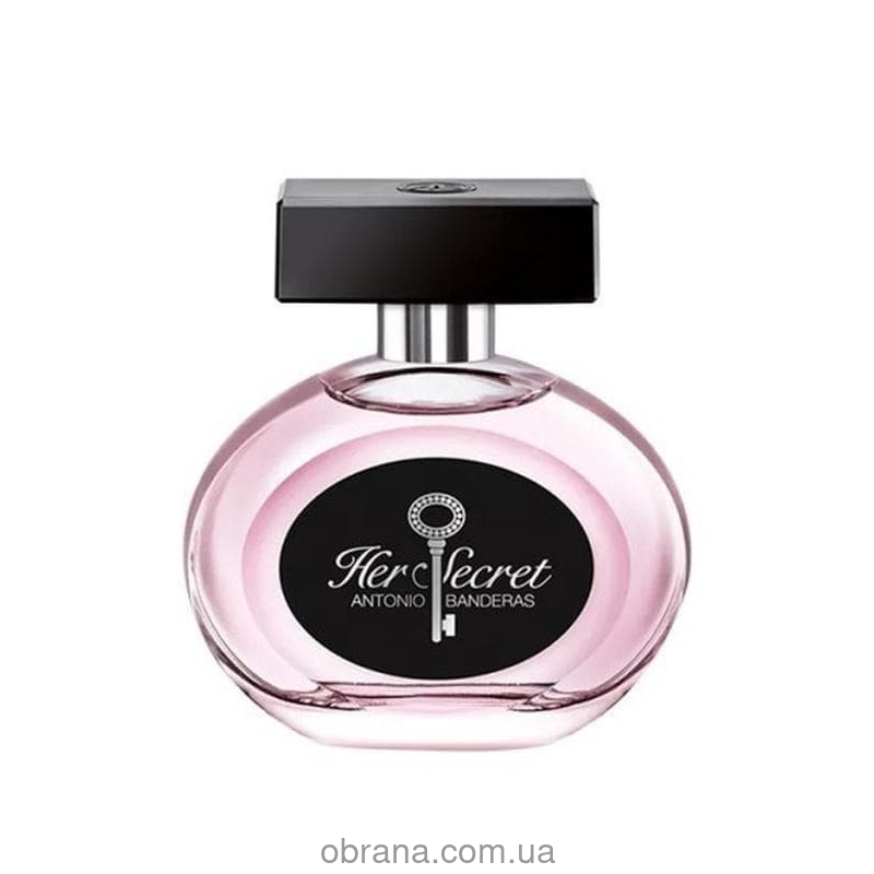 Her Secret Antonio Banderas image 0