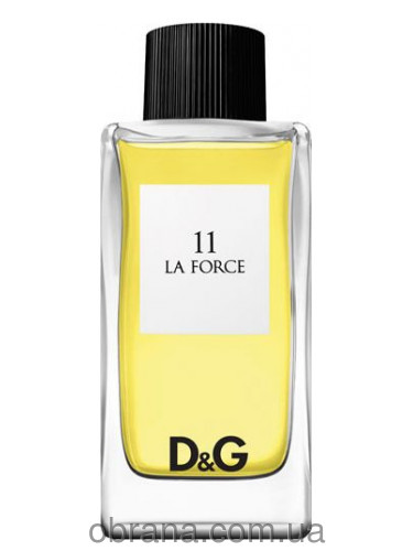 Anthology La Force 11 Dolce and Gabbana