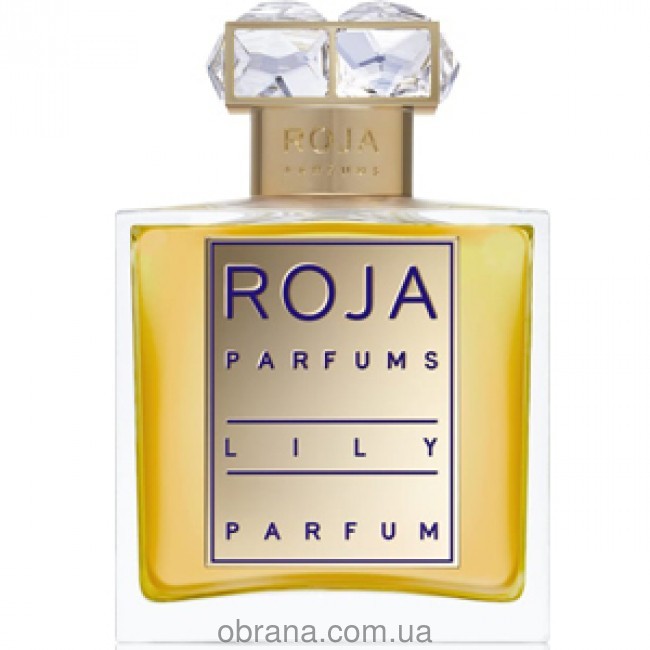 Lily Roja Dove