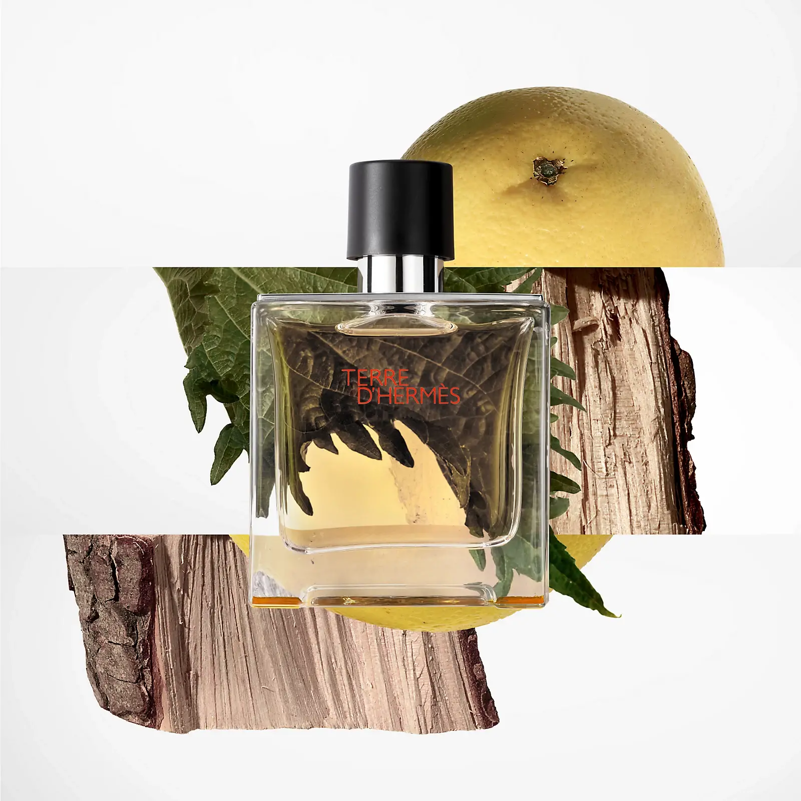 Terre D'Hermès Eau De Toilette image 0