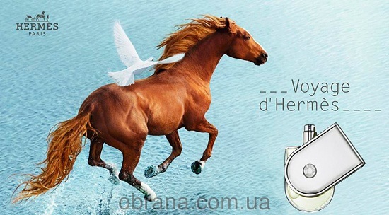 Voyage D'Hermes image 0