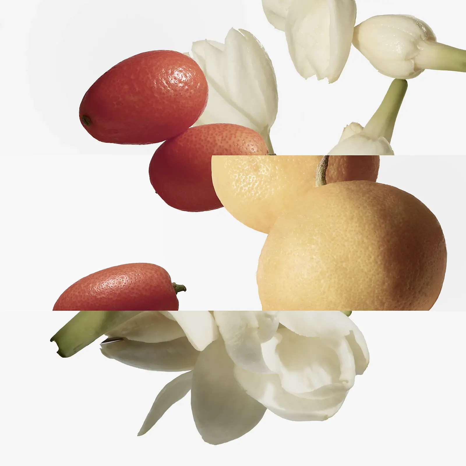Le Jardin de Monsieur Li 2015 Hermès image 0