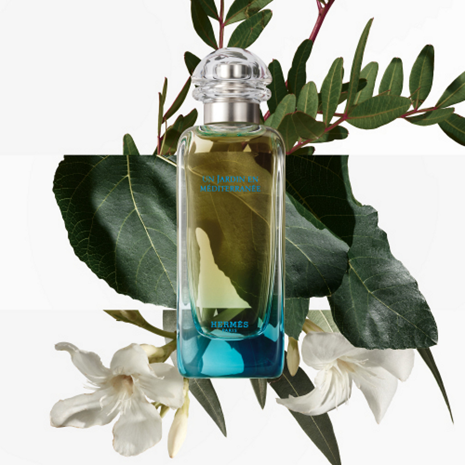 Un Jardin En Mediterranee Hermès image 0