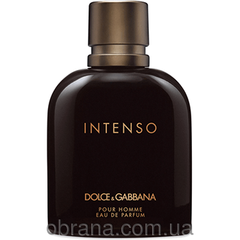 Pour Homme Intenso Dolce and Gabbana