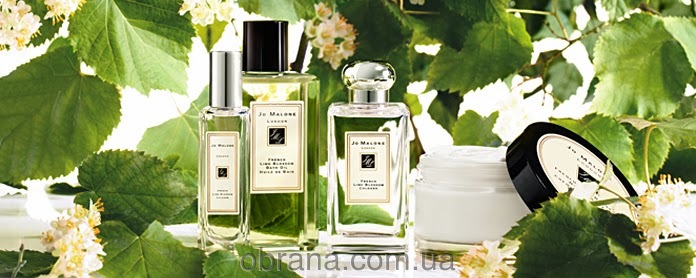 French Lime Blossom image 0