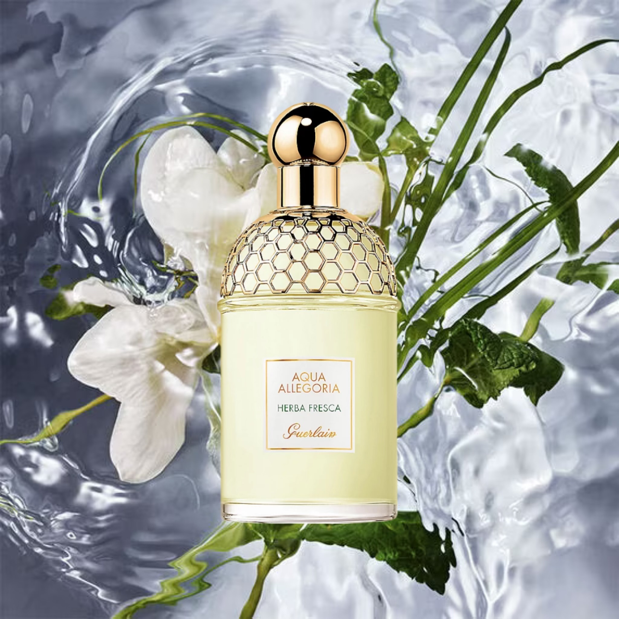 Aqua Allegoria Herba Fresca Guerlain image 0