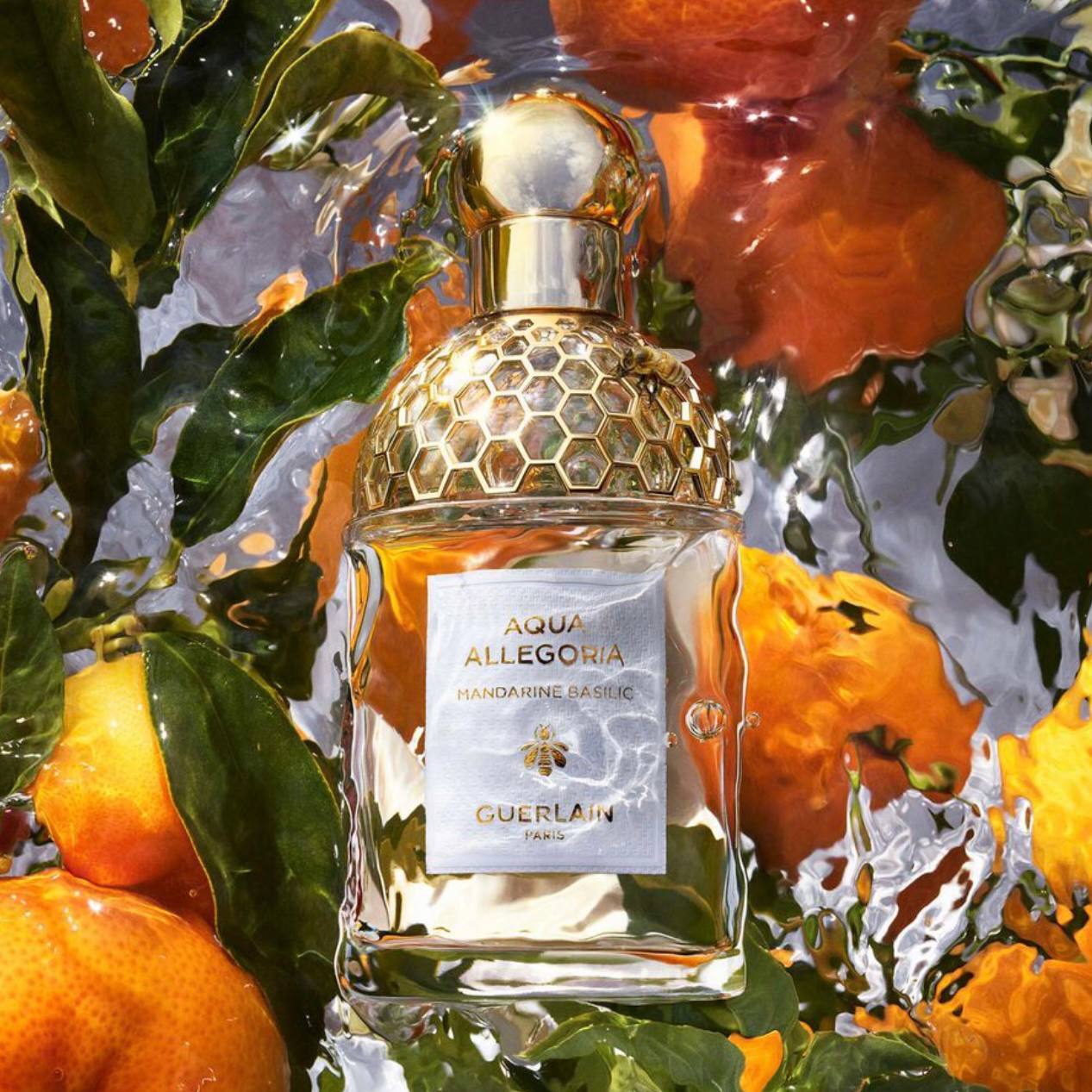 Aqua Allegoria Mandarine Basilic Guerlain image 0