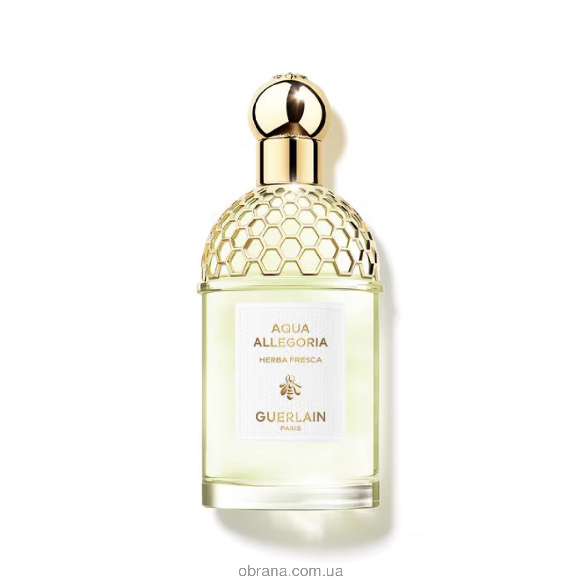 Aqua Allegoria Herba Fresca Guerlain