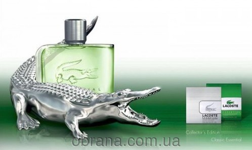 Essential Lacoste image 0
