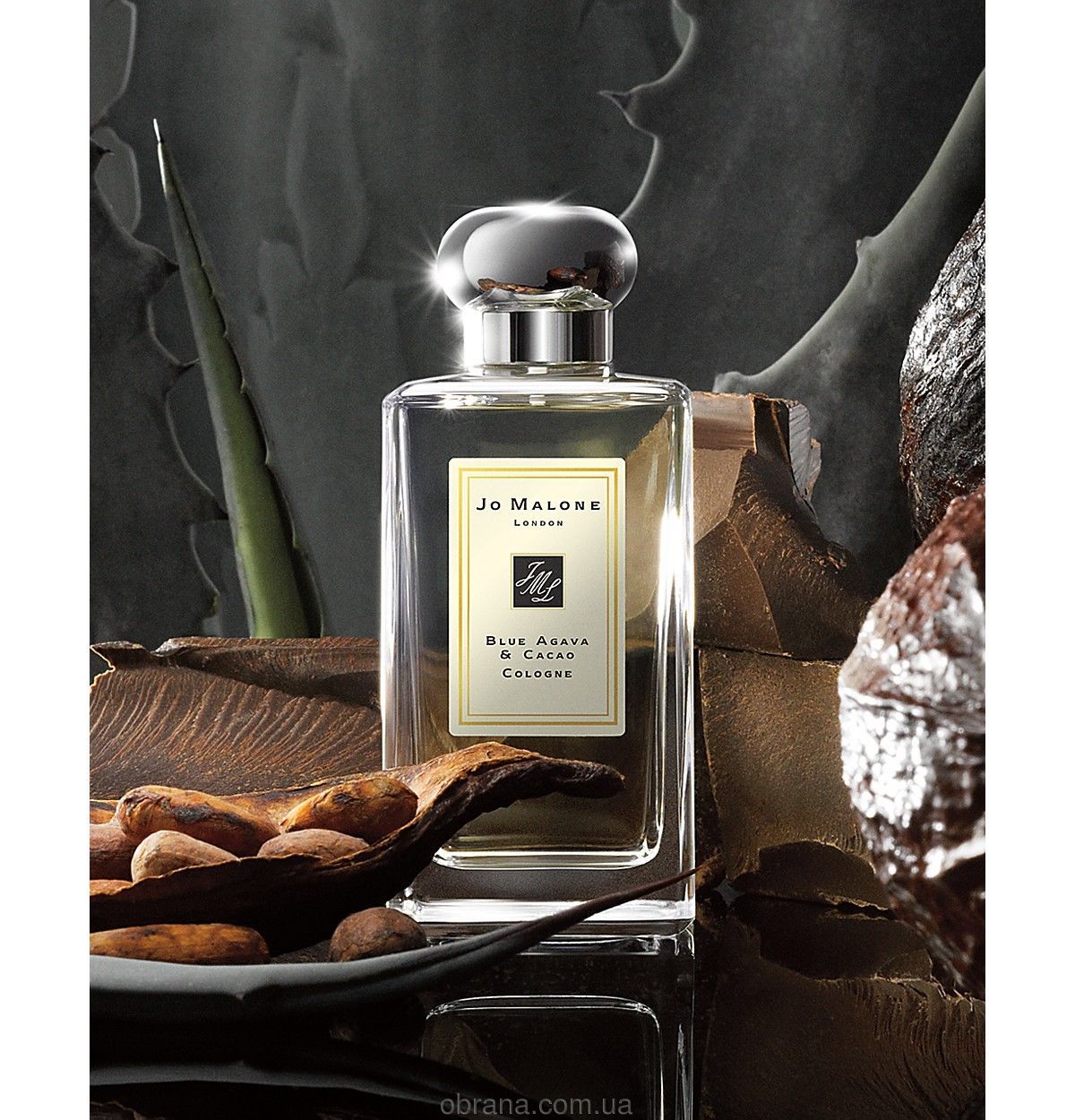 Blue Agava and Cacao Jo Malone London