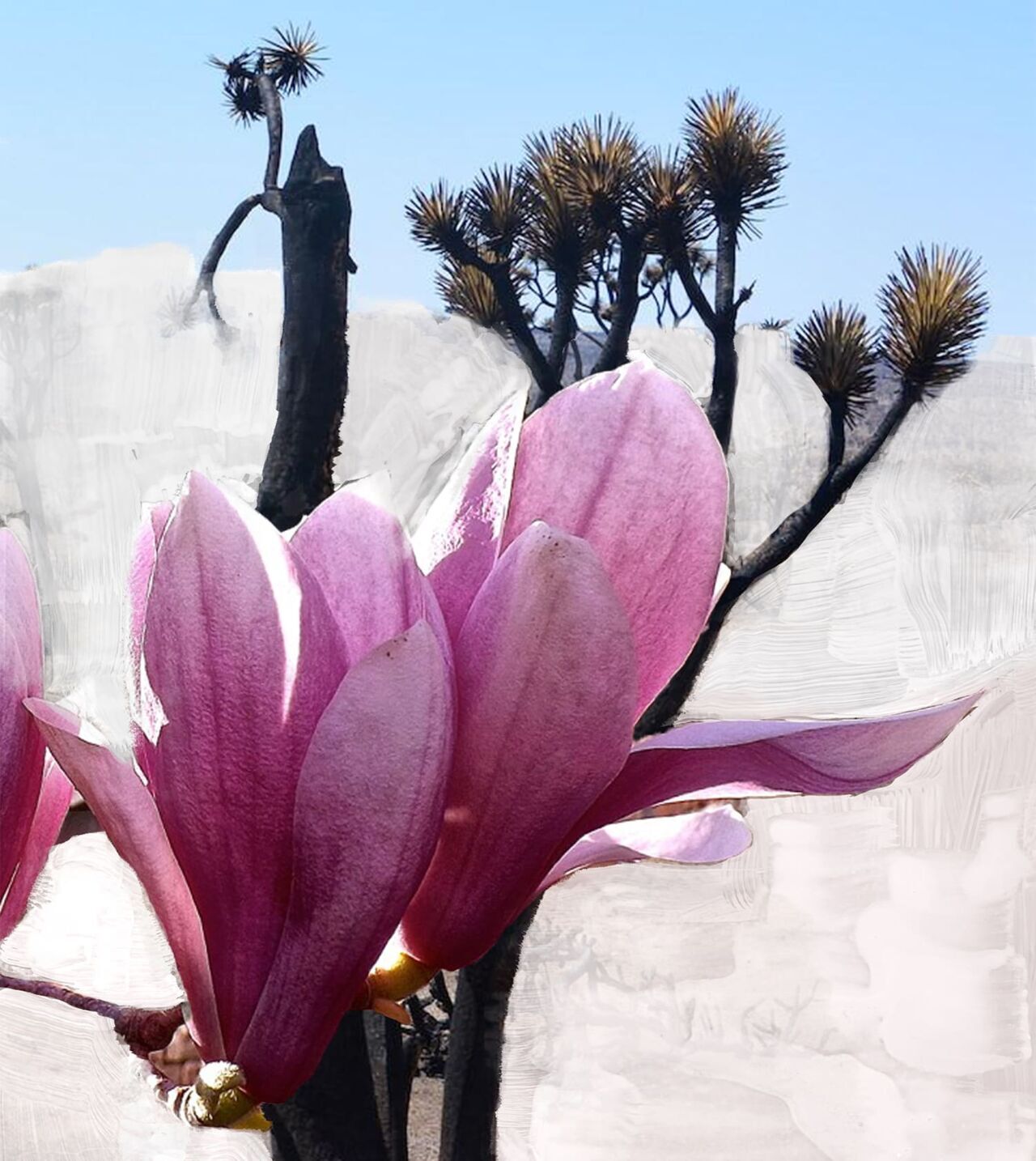 Mojave Ghost Byredo image 0
