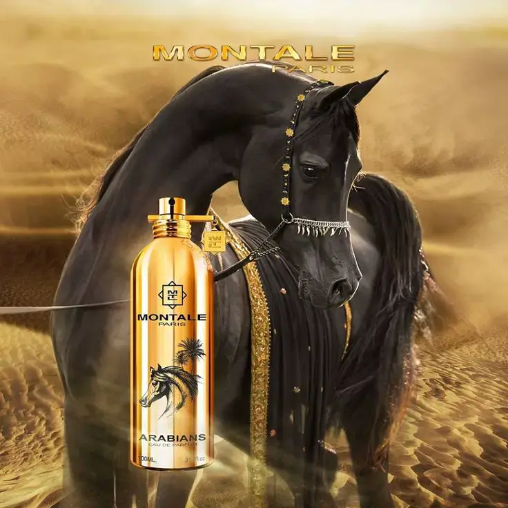 Arabians Montale