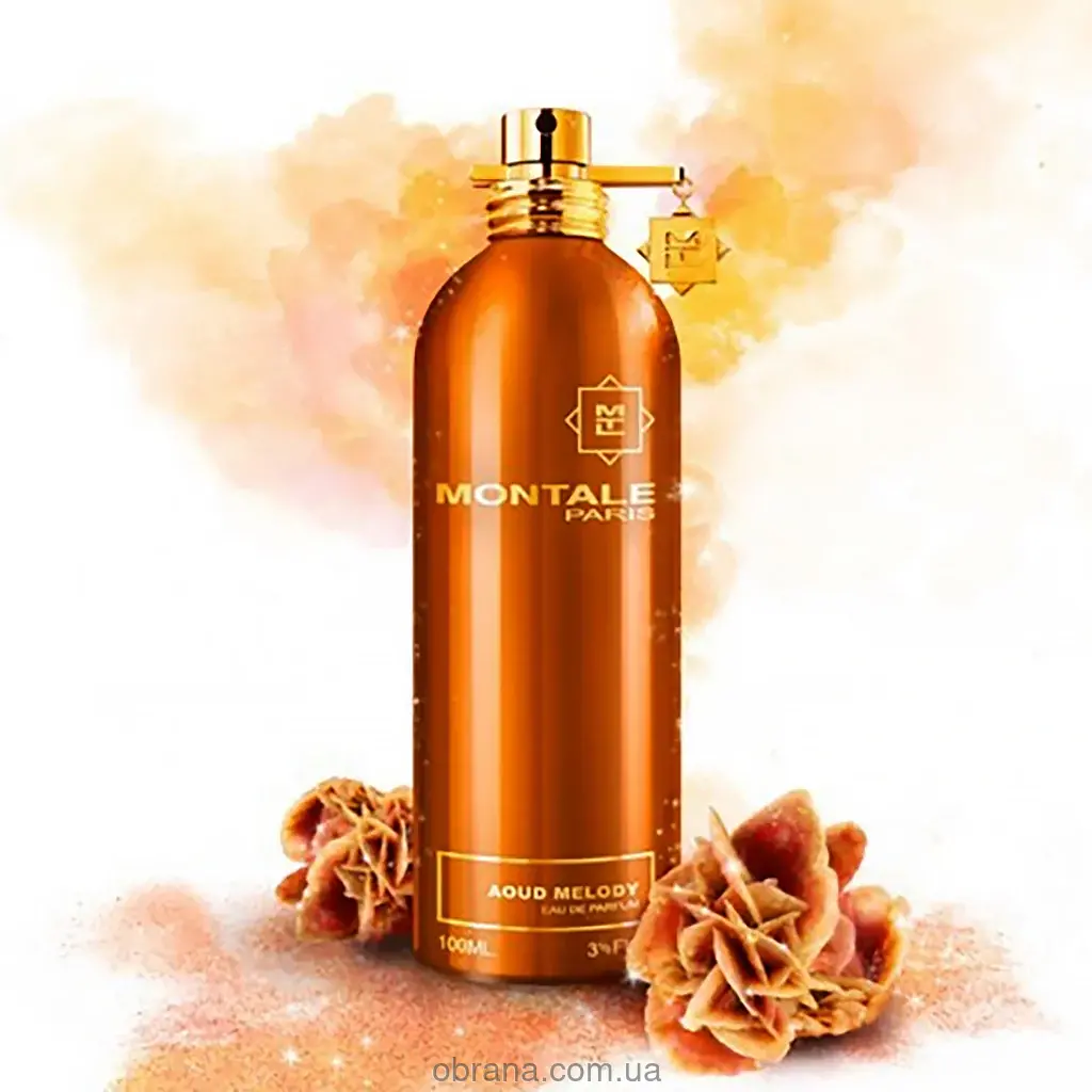 Aoud Melody Montale image 0