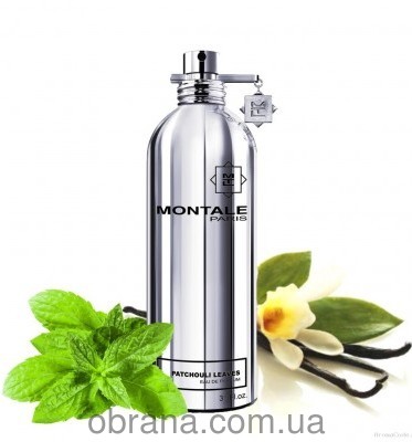 Patchouli Leaves Montale