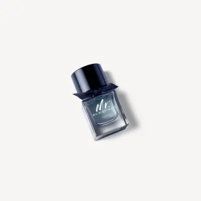 Mr. Burberry Indigo Burberry
