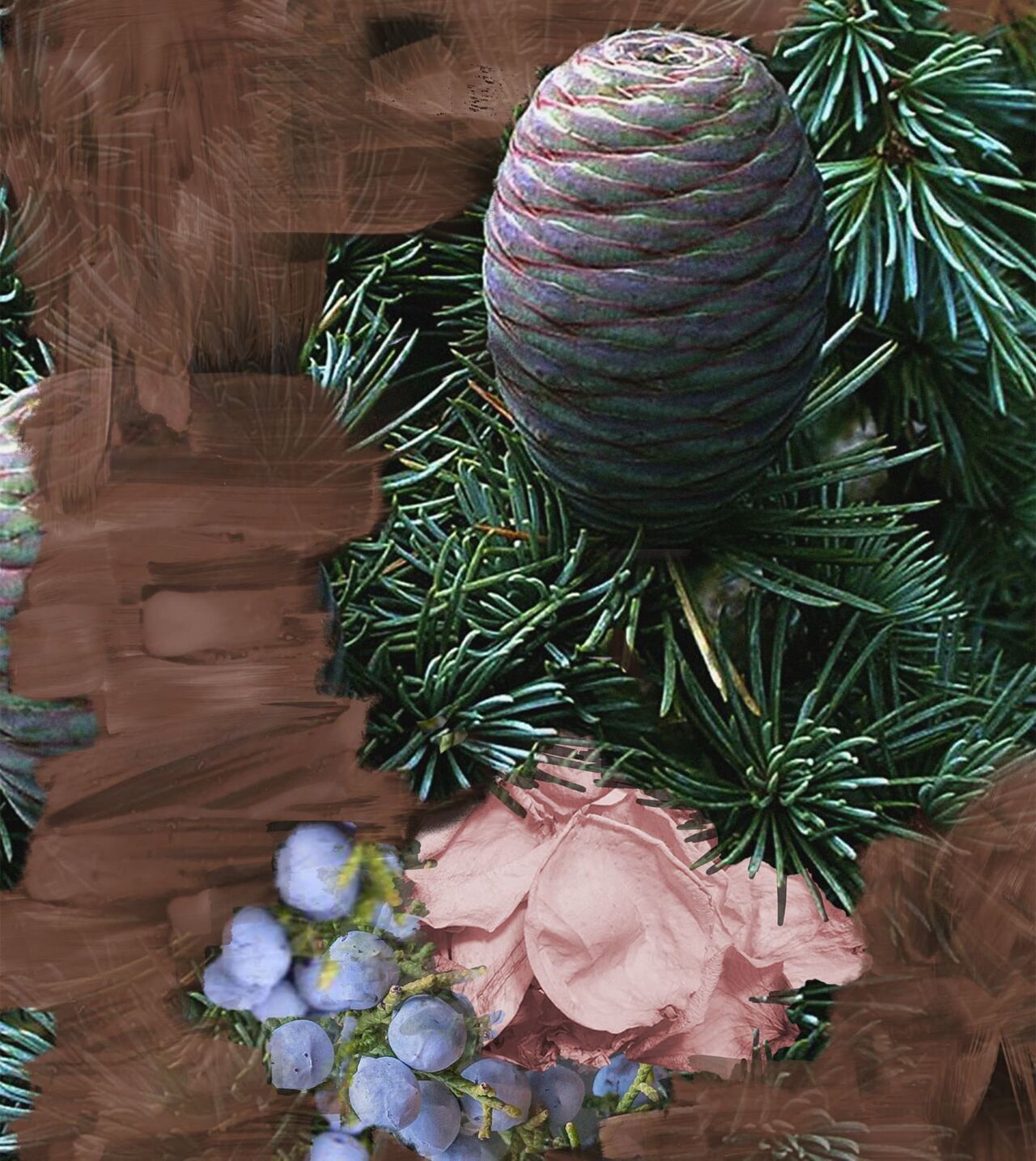 Super Cedar Byredo image 0