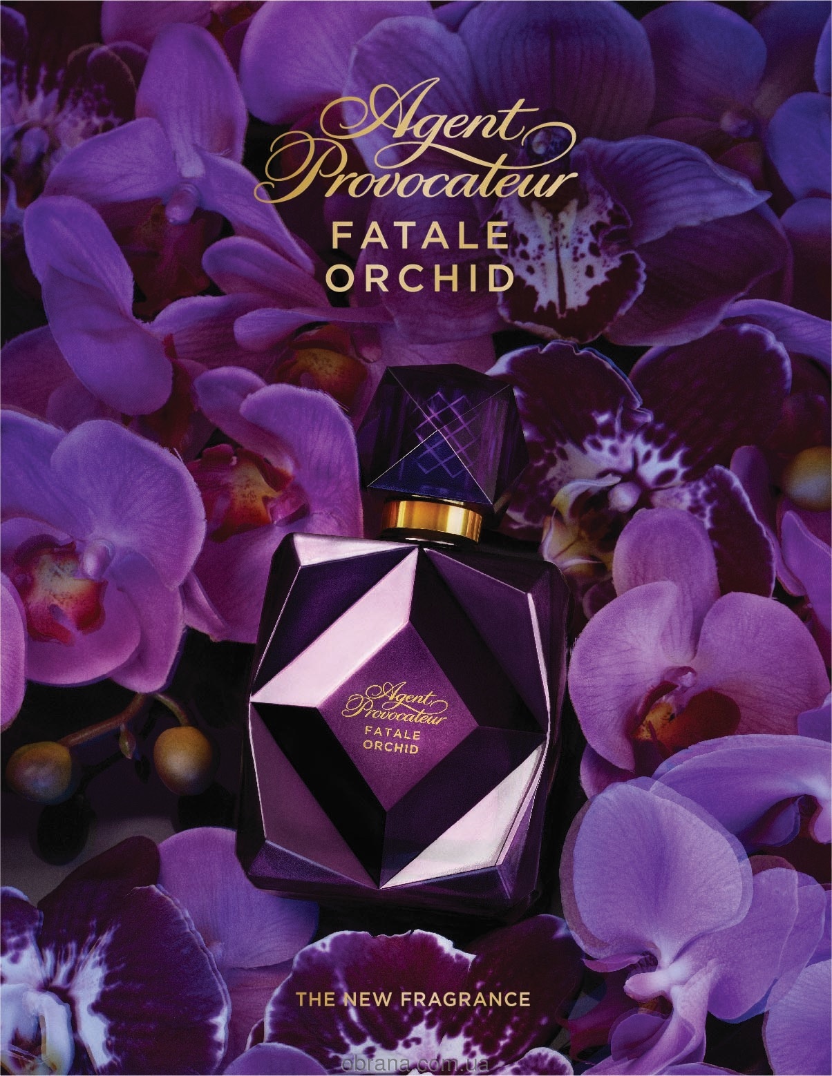 Agent Provocateur Fatale Orchid image 0