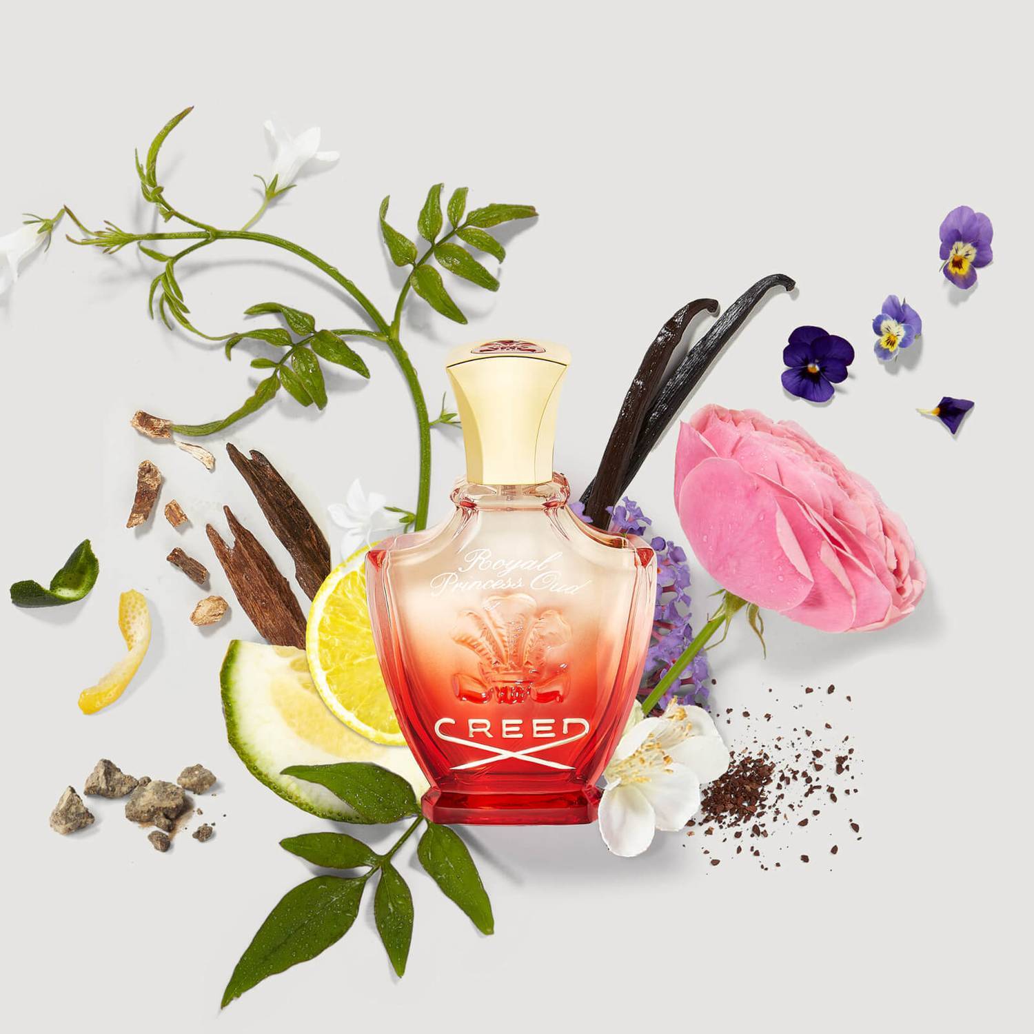 Royal Princess Oud Creed