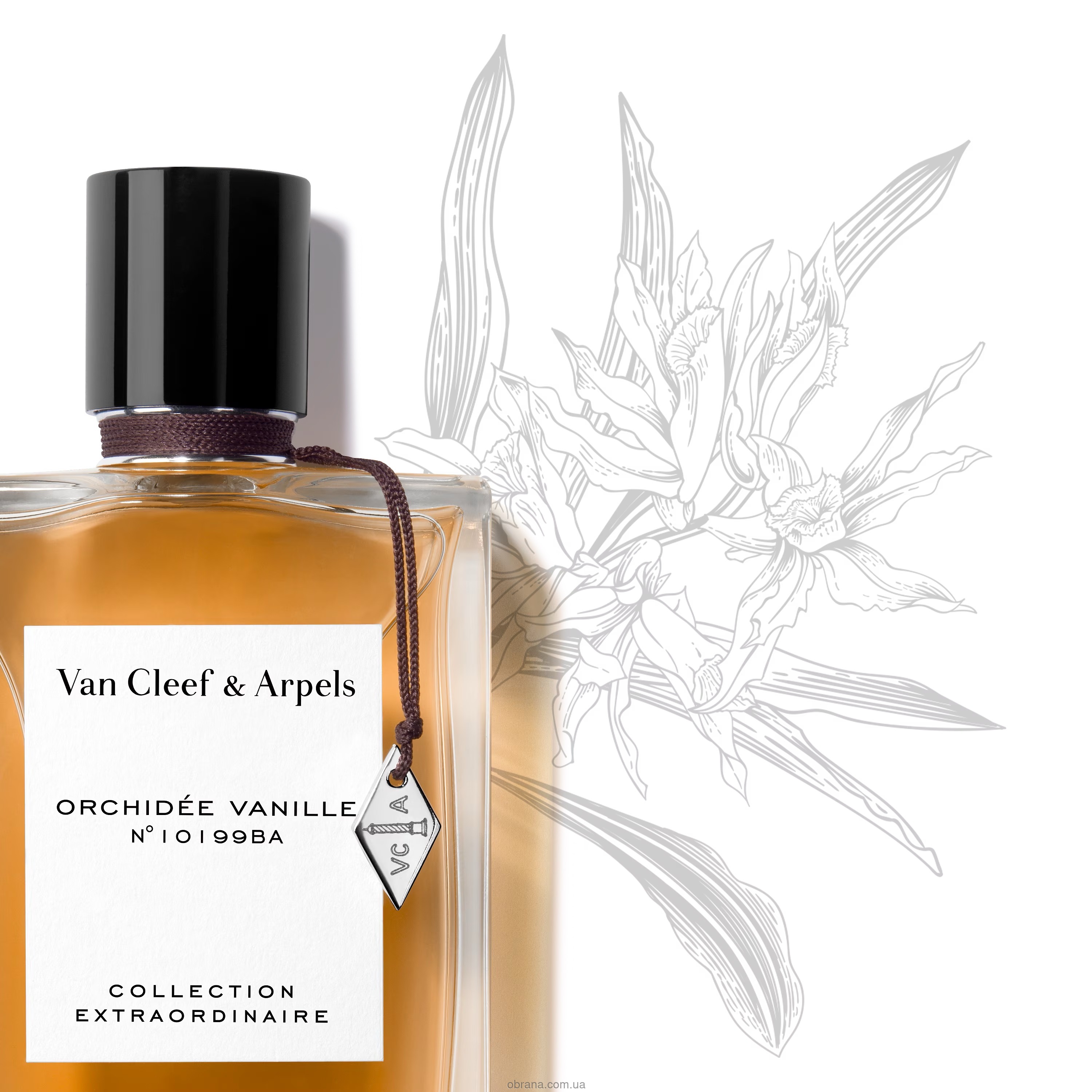 Orchidee Vanille Van Cleef and Arpels