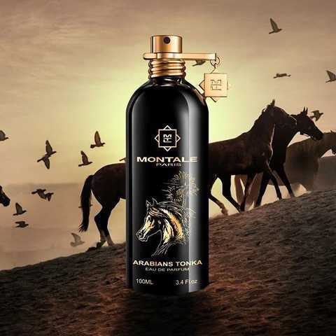 Arabians Tonka Montale
