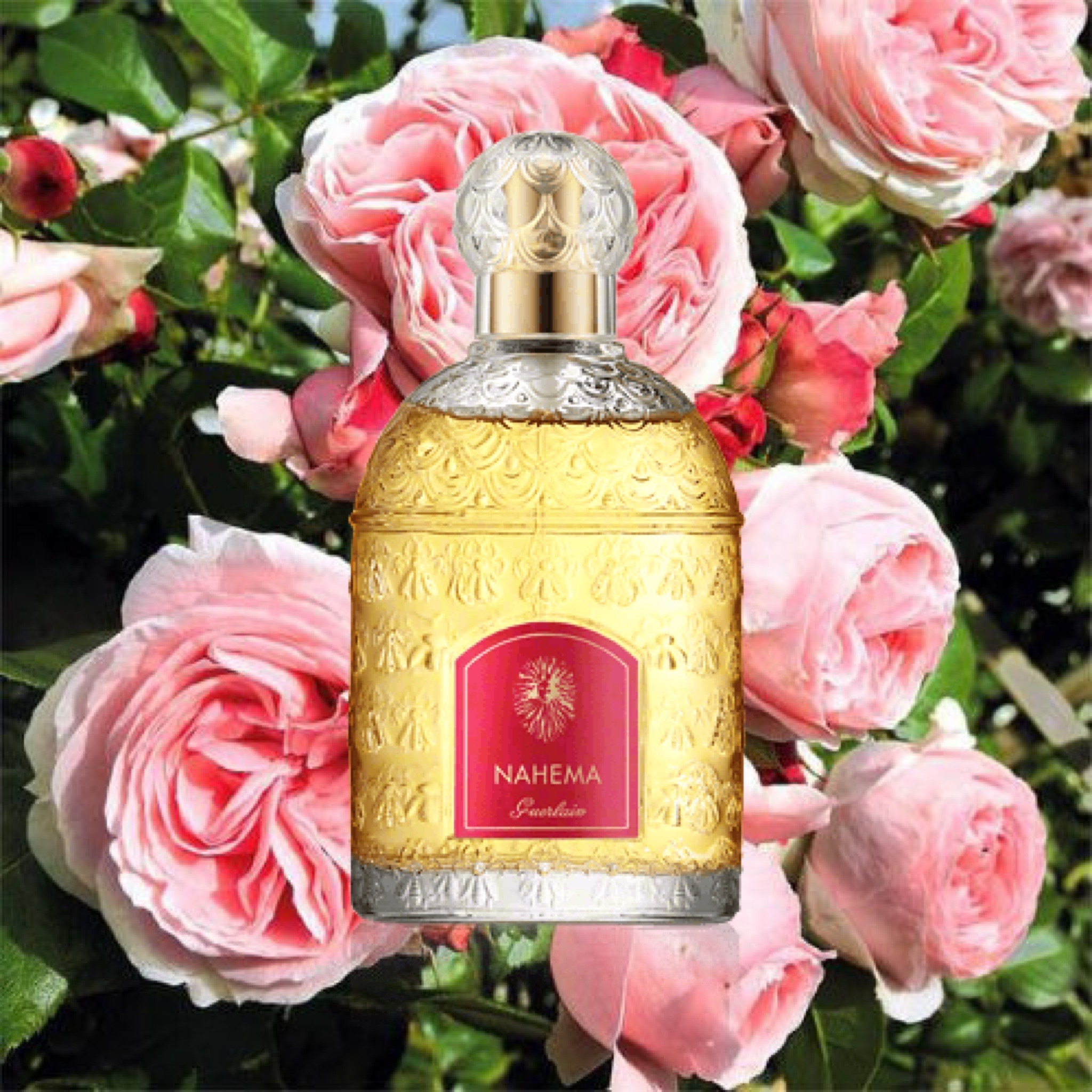 Nahema Eau De Parfum Guerlain