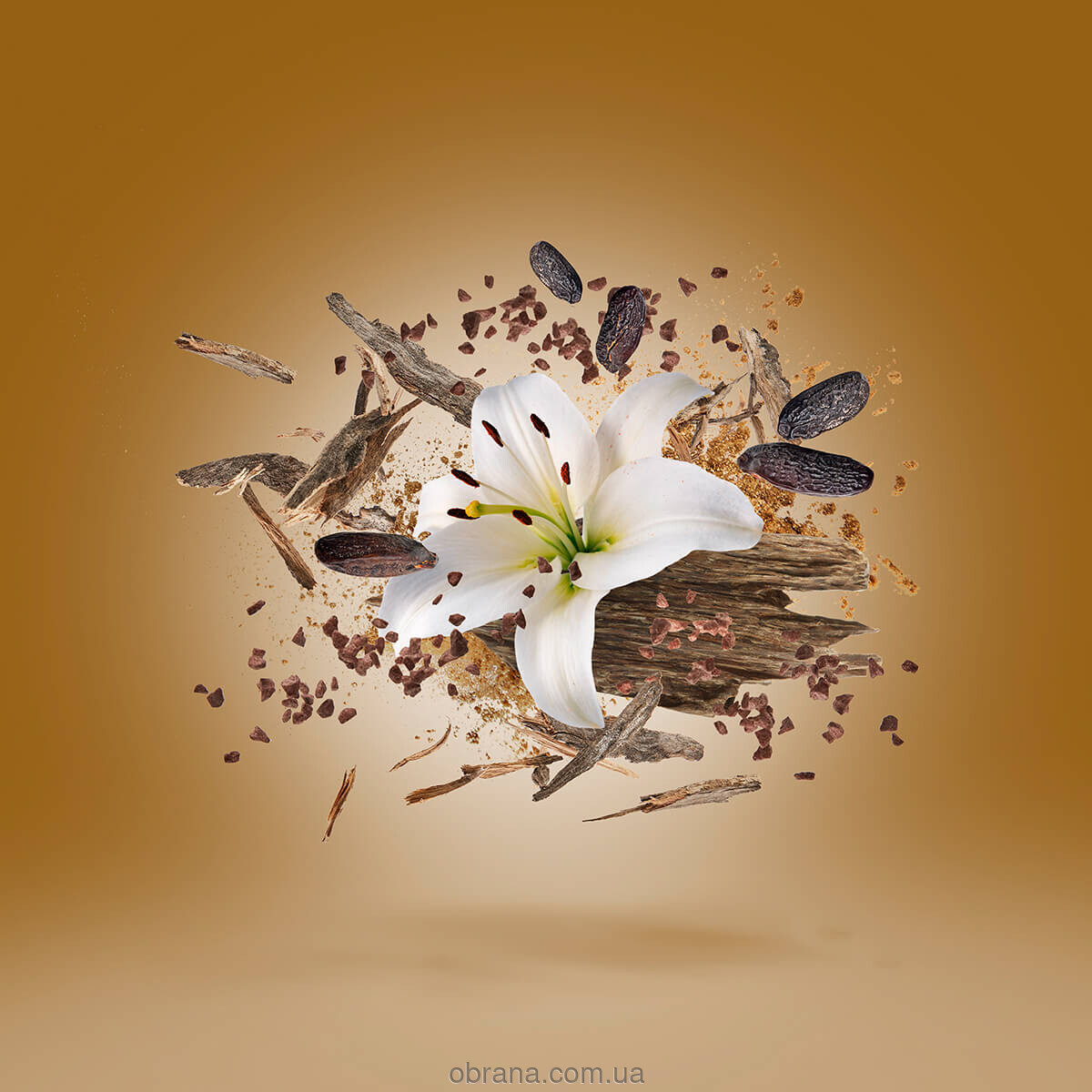 Oud Stars Malesia Xerjoff image 0