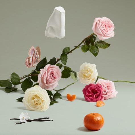 The Coveted Duchess Rose Penhaligon's image 0