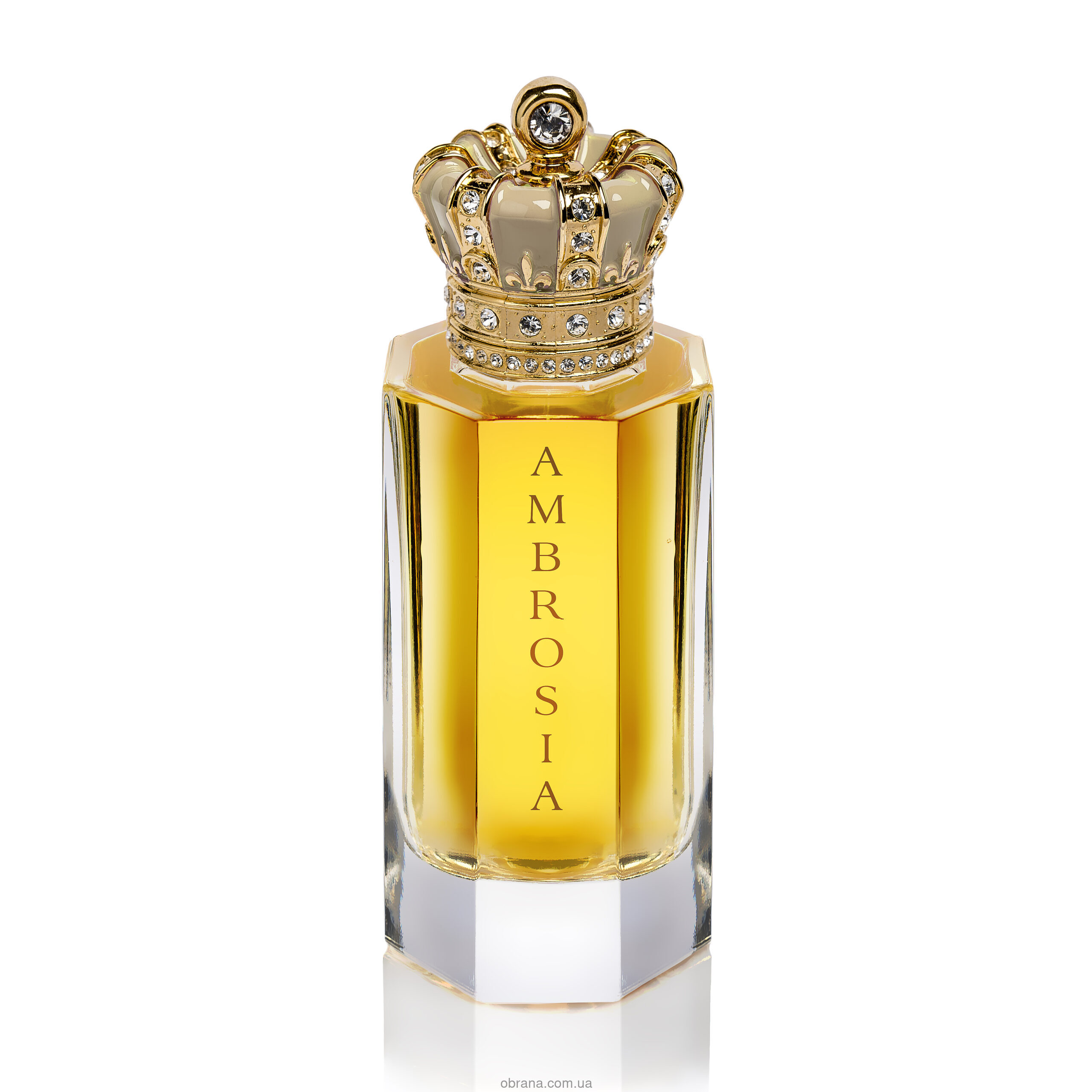 Ambrosia Royal Crown