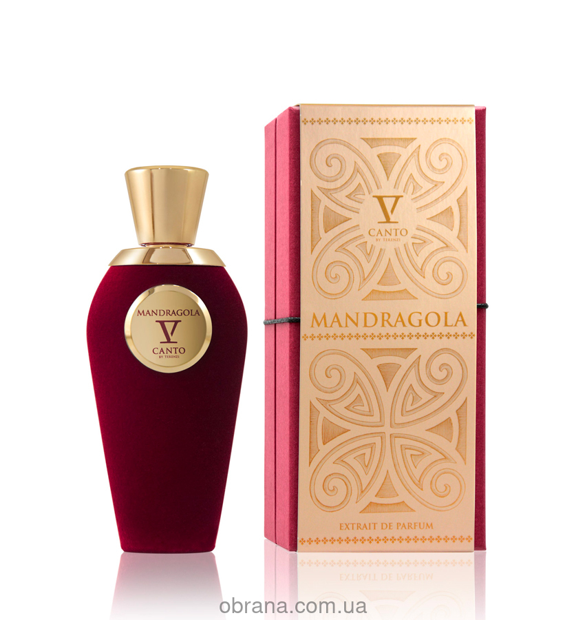 Mandragola V Canto