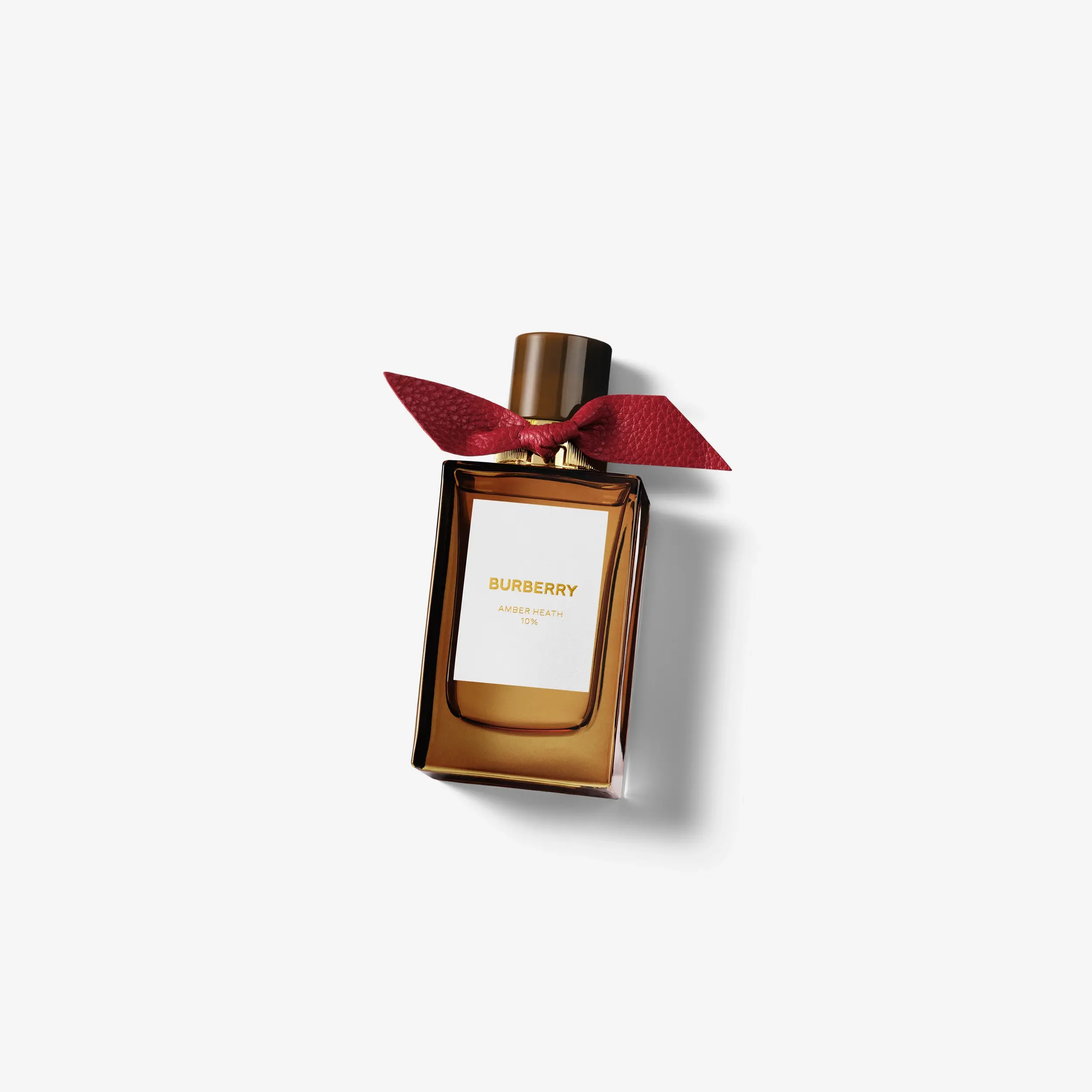 Amber Heath Burberry