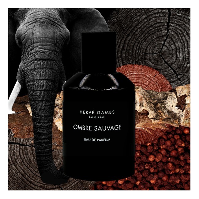 Ombre Sauvage Herve Gambs Paris