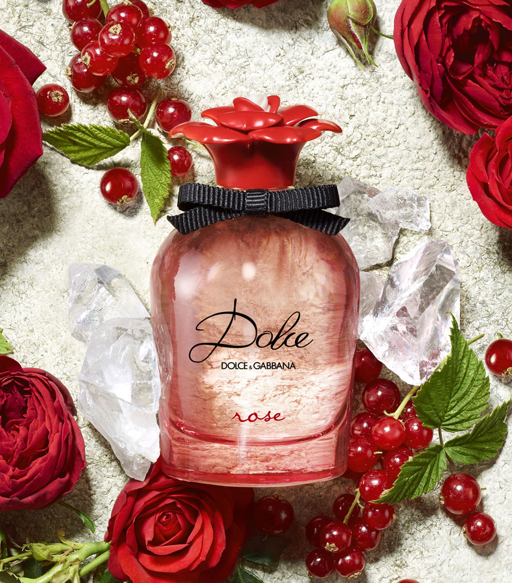Dolce Rose Dolce and Gabbana