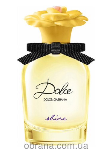 Dolce Shine Dolce and Gabbana