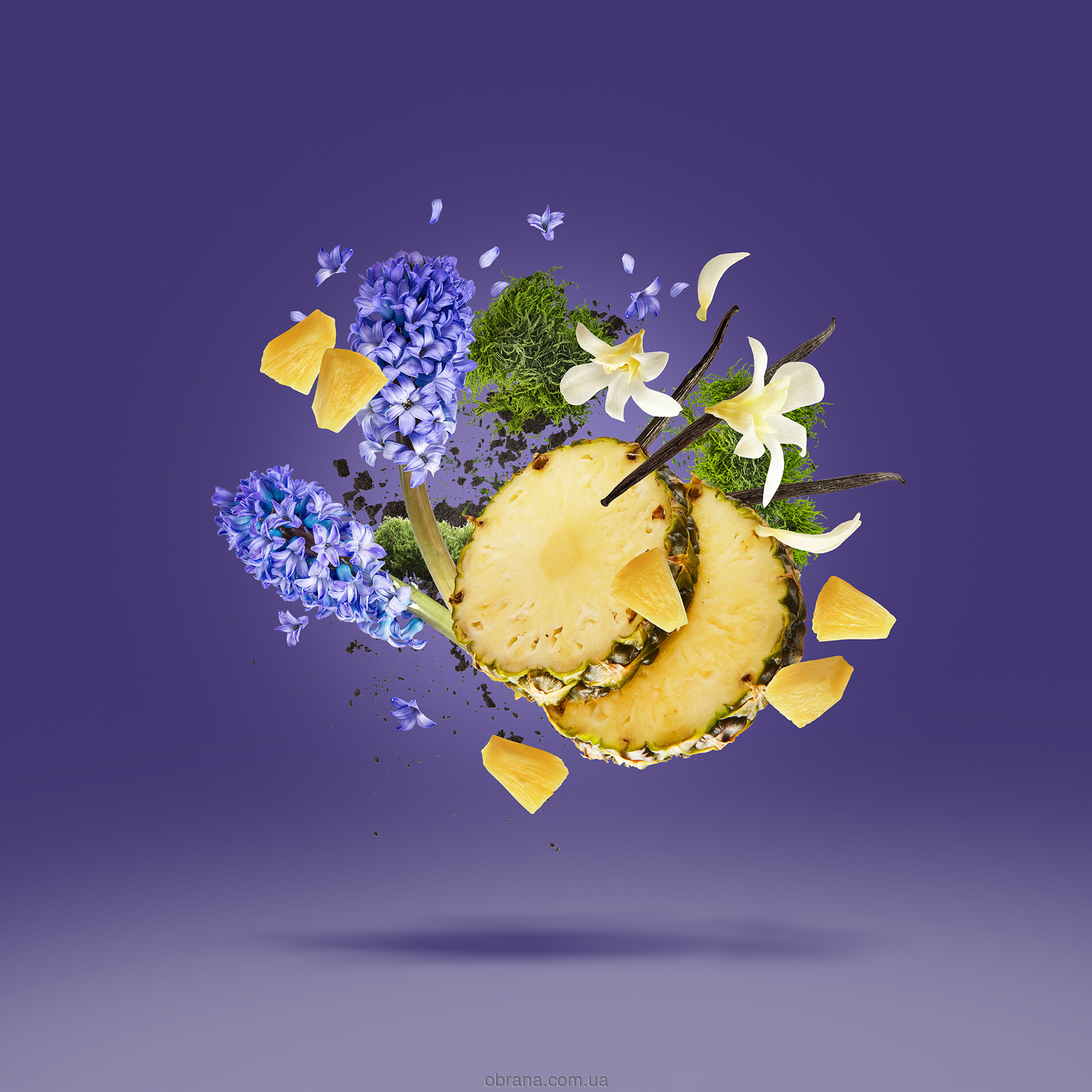 Vibe Accento Xerjoff image 0