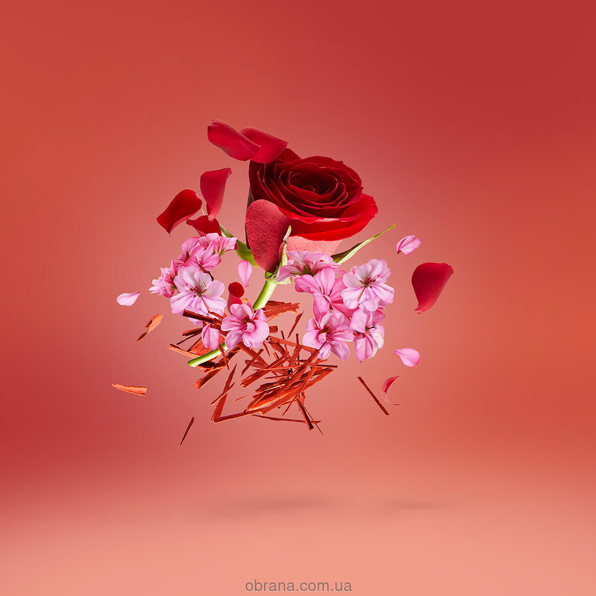Shooting Stars Rose Gold Xerjoff image 0