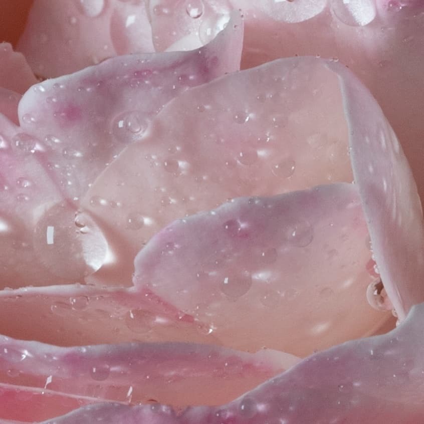 L'eau À la Rose Maison Francis Kurkdjian image 0