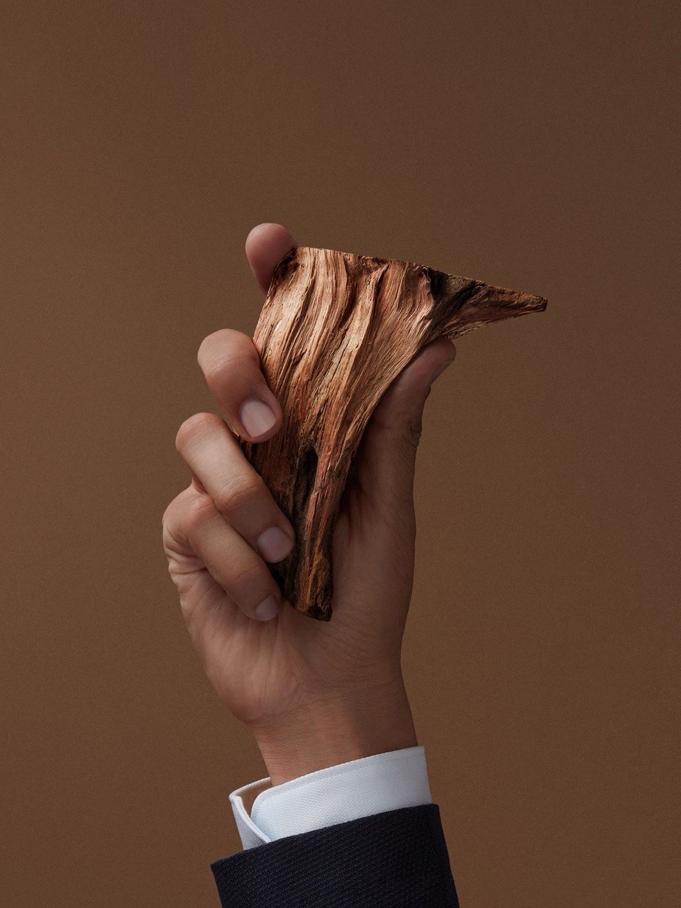 Roman Wood Ermenegildo Zegna image 0