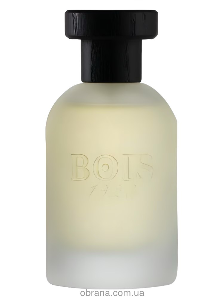 Vetiver Ambrato Bois 1920 image 0