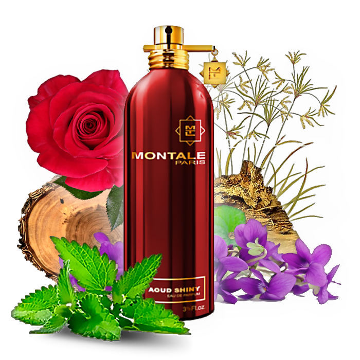 Aoud Shiny Montale