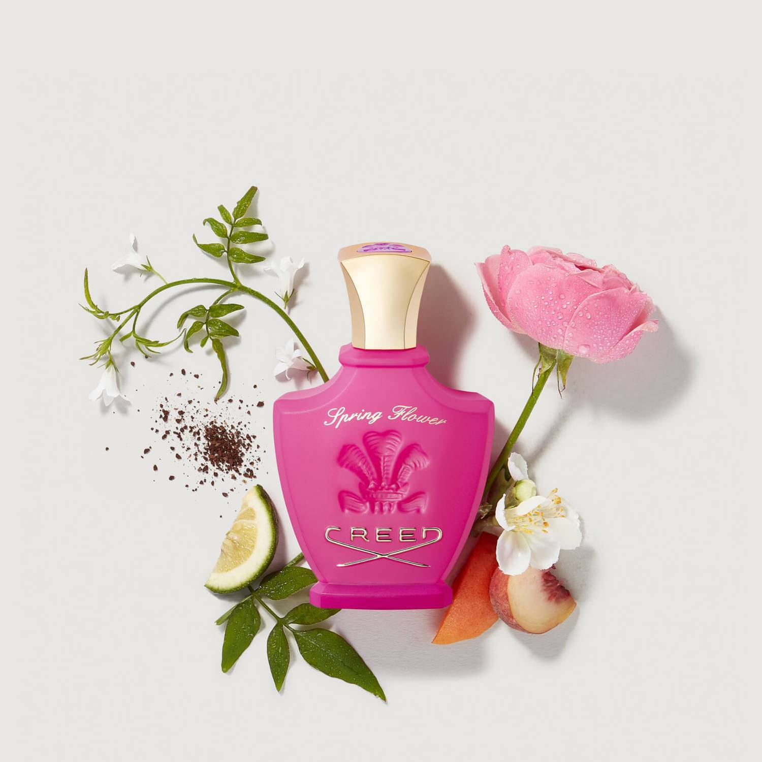 Spring Flower Creed