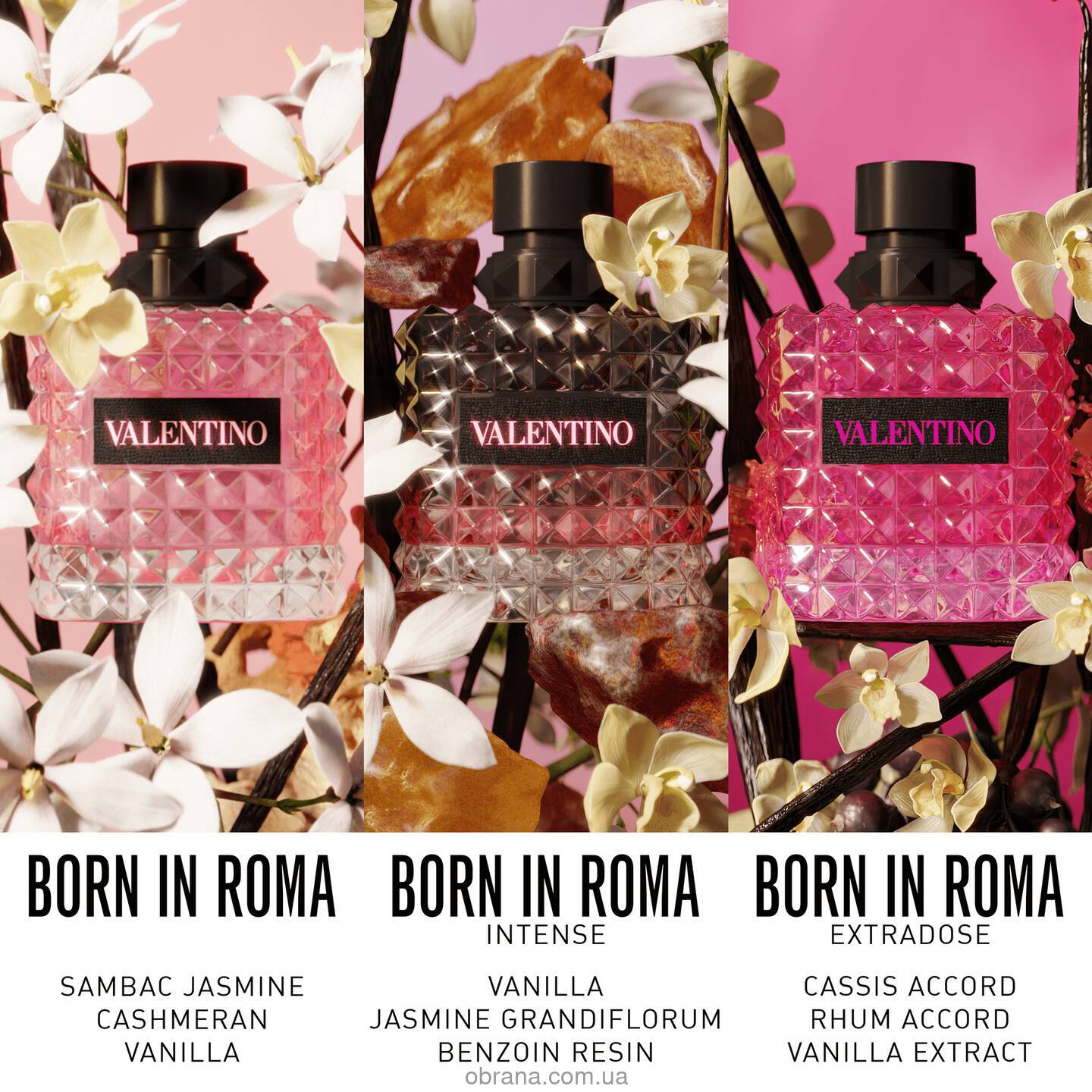 Donna Born In Roma Valentino image 0