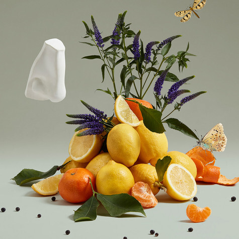 The Impudent Cousin Matthew Penhaligon's image 0