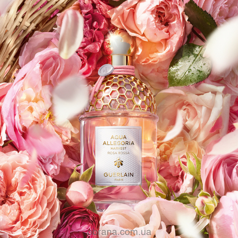 Aqua Allegoria Rosa Rossa Harvest Guerlain image 0