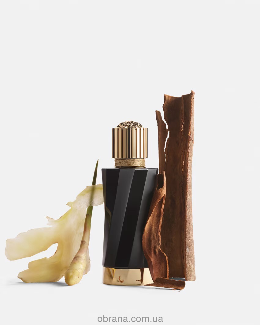 Gingembre Pétillant Versace