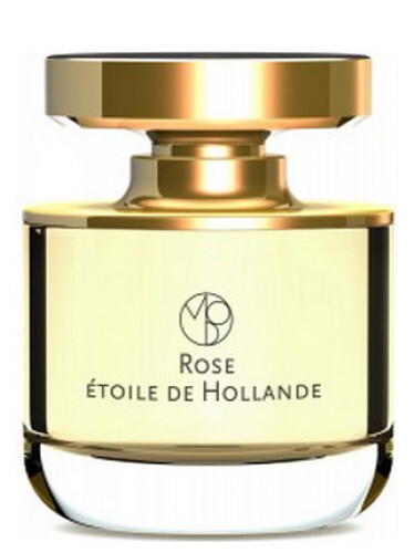 Rose Etoile de Hollande Mona di Orio