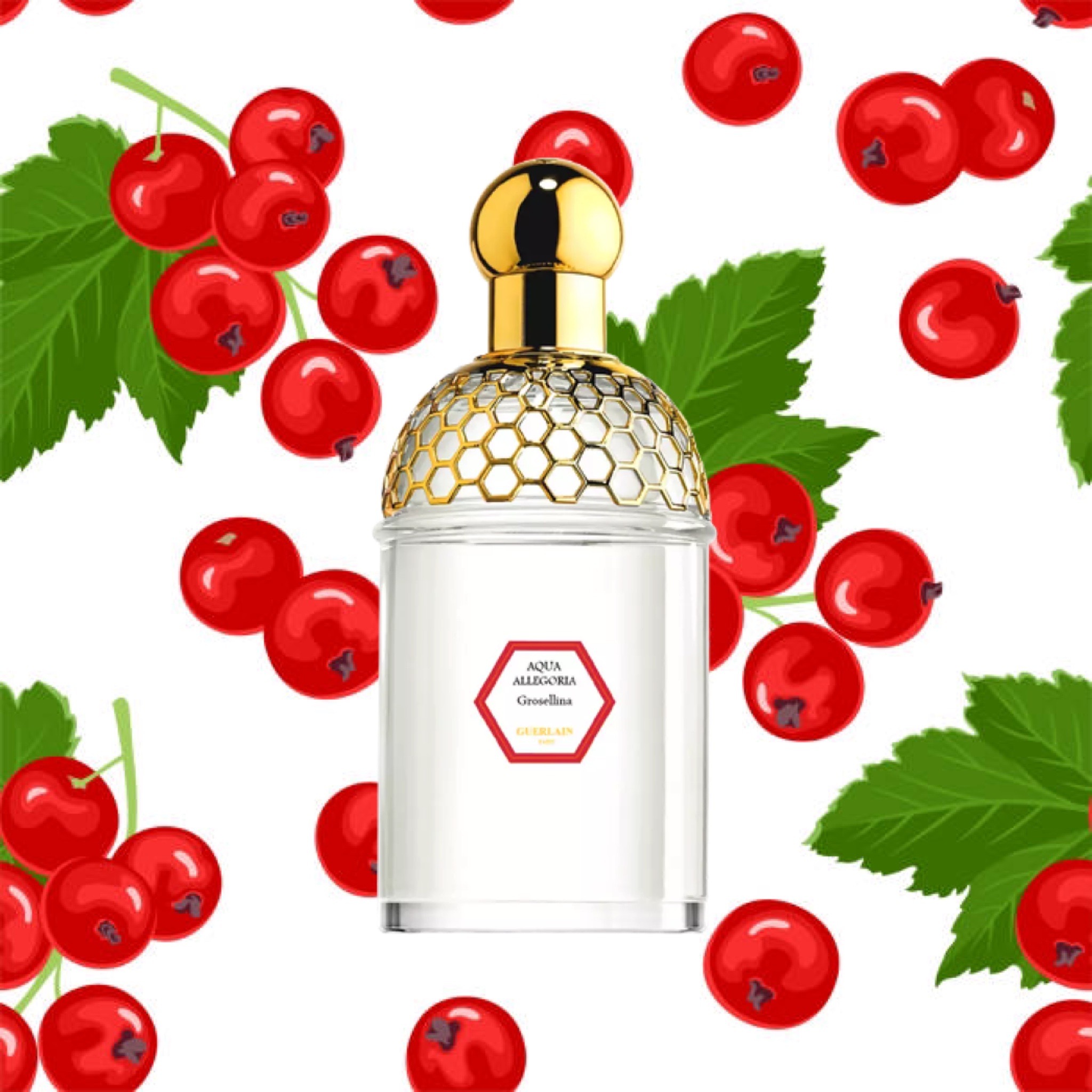 Снятость Aqua Allegoria Grosellina Guerlain image 0