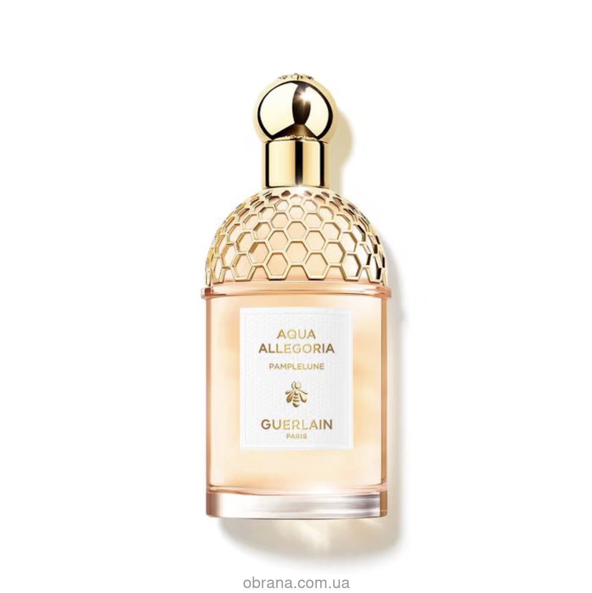 Aqua Allegoria Pamplelune Guerlain