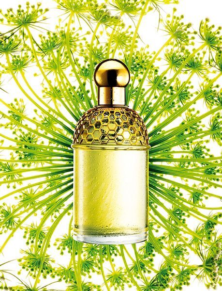 Снятость Aqua Allegoria Angelique - Lilas Guerlain image 0