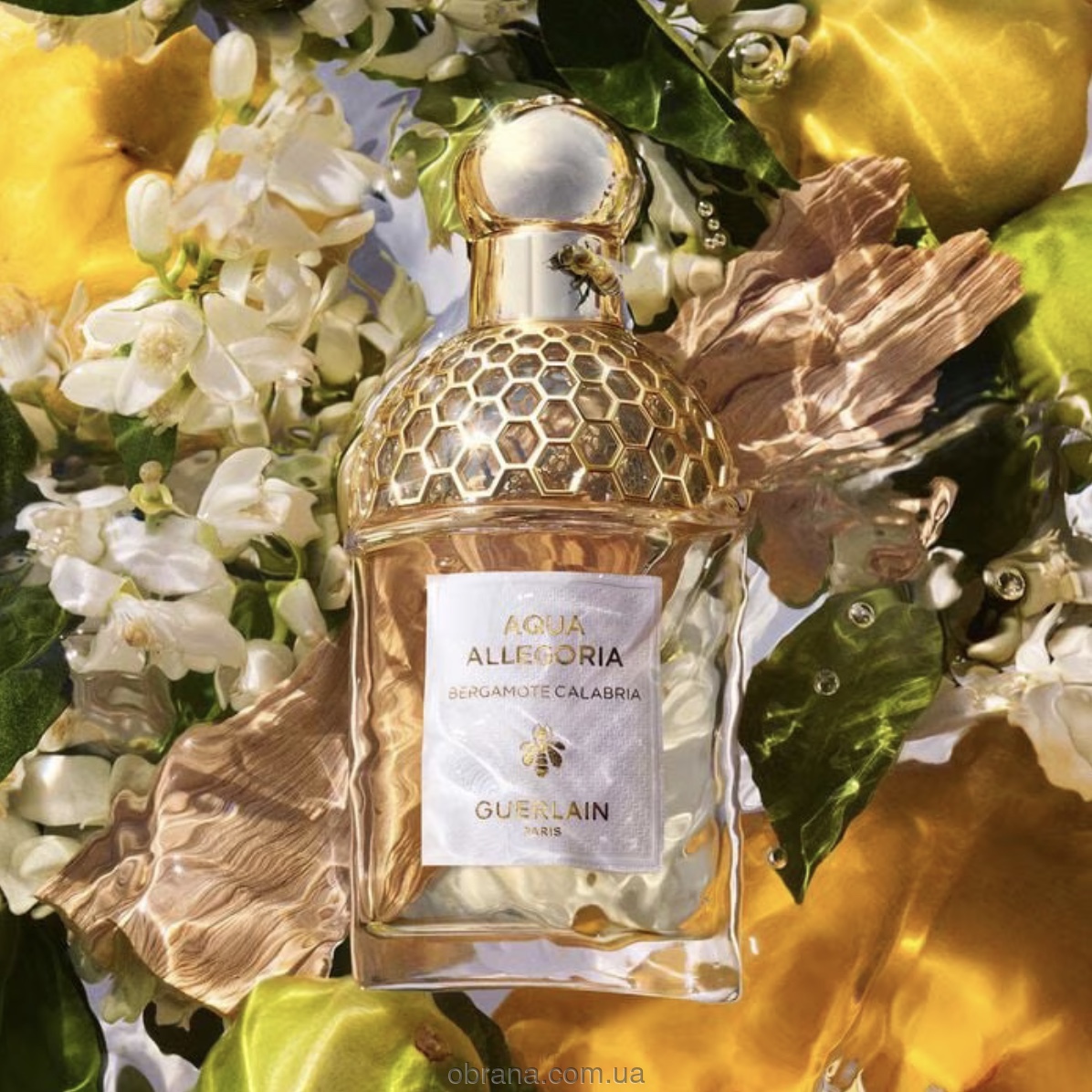 Aqua Allegoria Bergamote Calabria Guerlain image 0