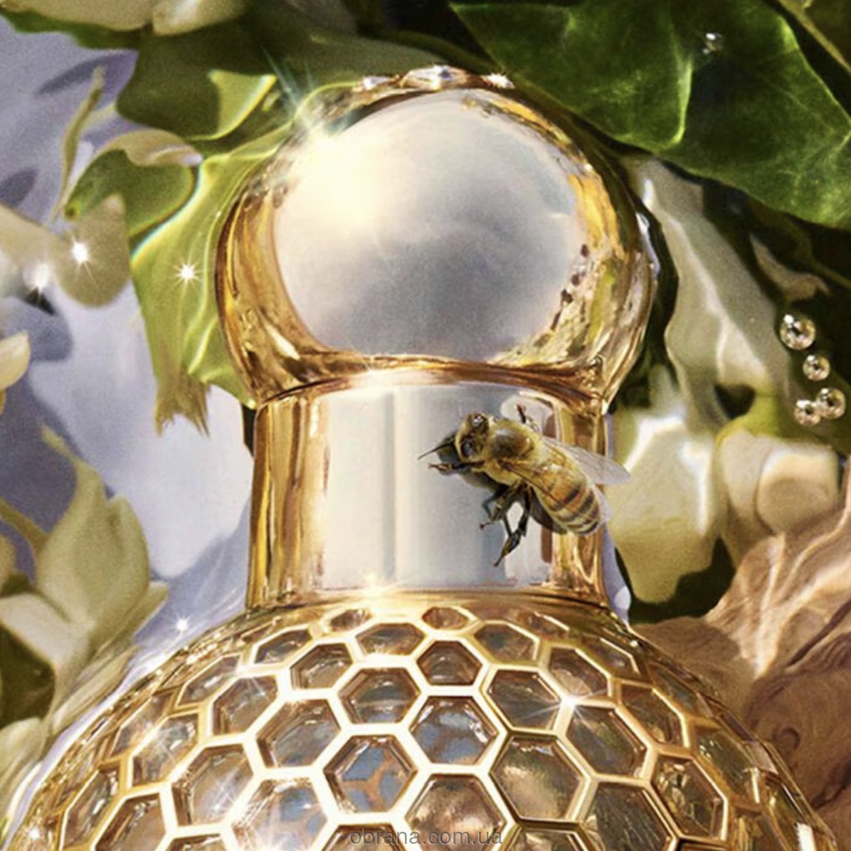 Aqua Allegoria Bergamote Calabria Guerlain image 0